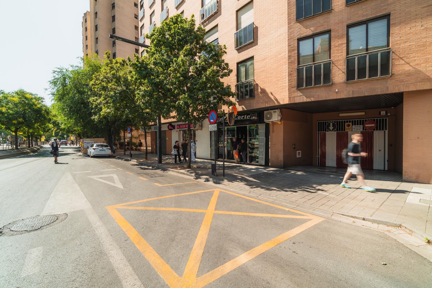 Constitucion Apartment - Free Parking Granada Kültér fotó